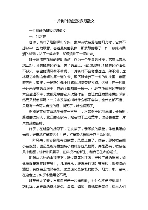 一片树叶的斑驳岁月散文