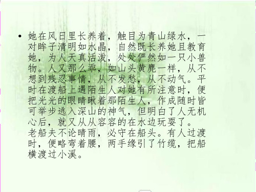 沈从文——高考作文素材ppt课件