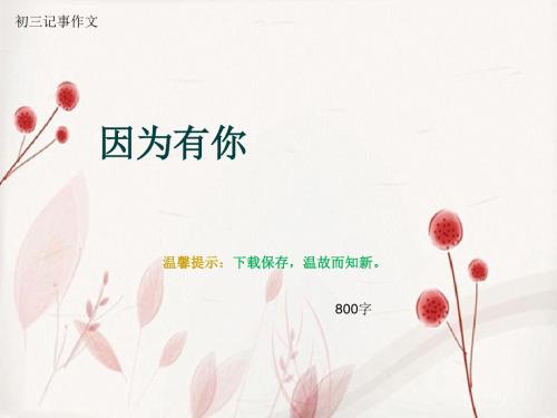 初三记事作文《因为有你》800字(总11页PPT)
