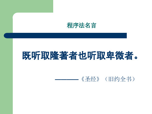08辩护与代理精品PPT课件