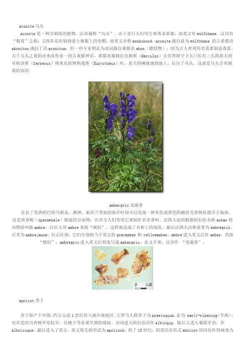 千奇百怪的植物名称的由来