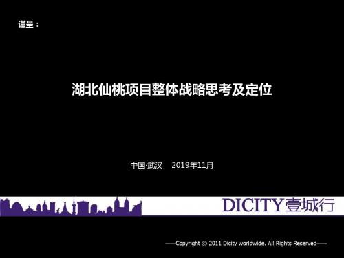 2019年湖北省北仙桃项目整体战略思考及定位 共52页