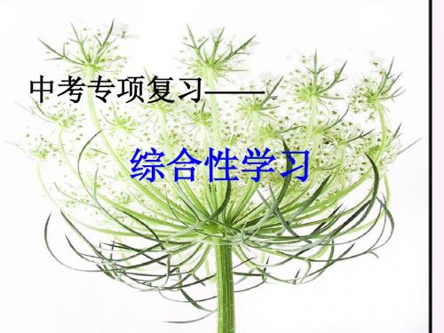 初中语文综合性学习