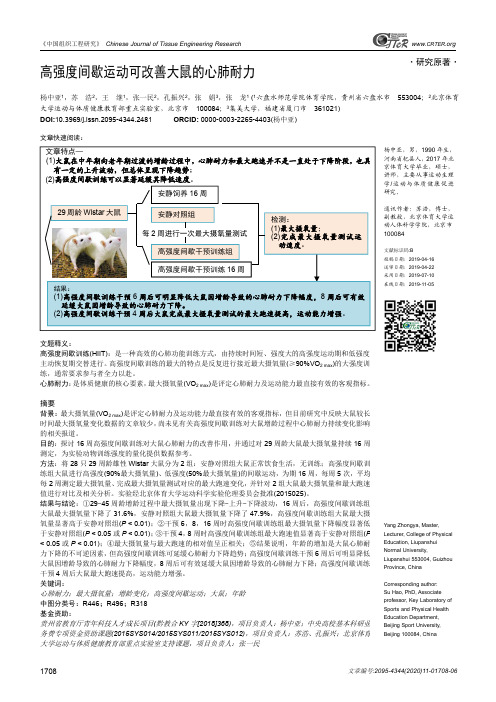 高强度间歇运动可改善大鼠的心肺耐力