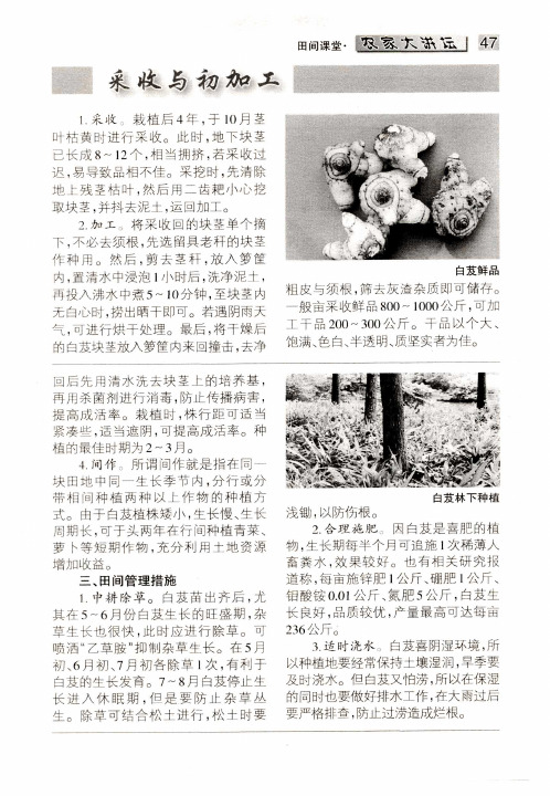 采收与初加工