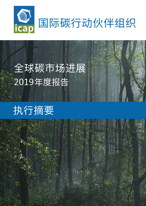 国际碳行动伙伴组织-InternationalCarbonAction