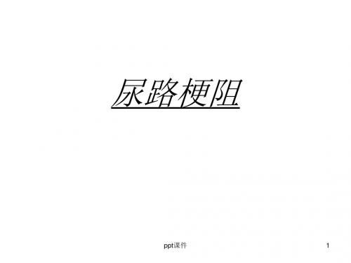 《泌尿外科学》尿路梗阻  ppt课件