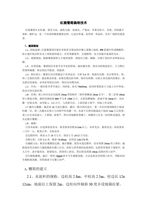 红提葡萄栽培技术