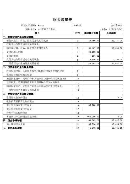 2019年度小企业会计准则财务报表