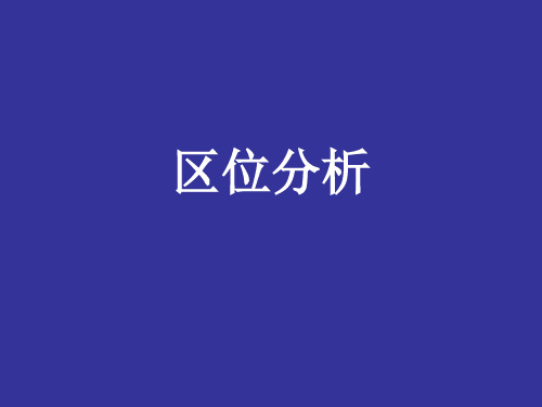区位分析