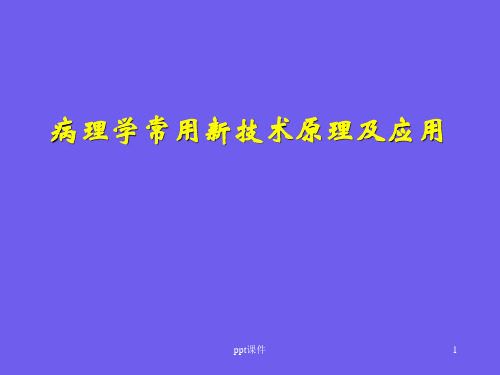 病理学新技术  ppt课件