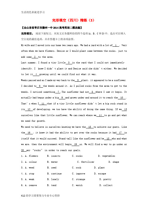 [推荐学习]四川省2016高考英语二轮复习 完形填空精练(3)
