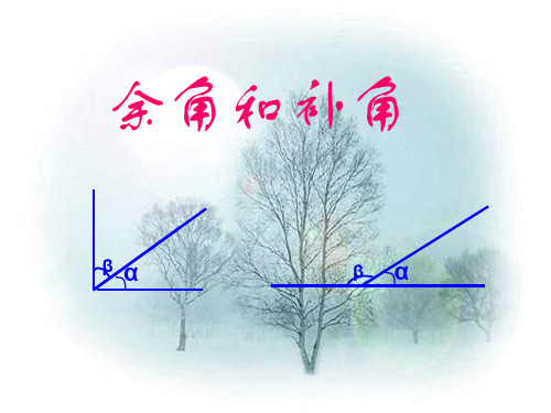 人教版七年级上4.3.3余角和补角的定义