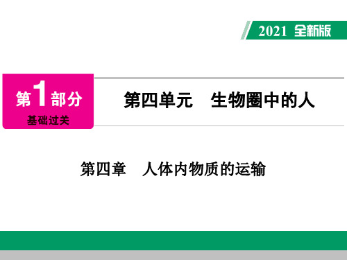 中考生物《第4单元 第四章 人体内物质的运输》复习课件