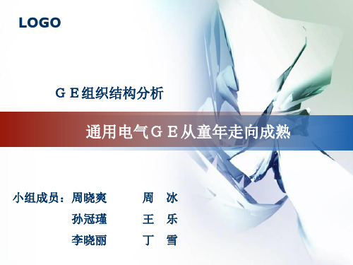 11通用电气GE的组织结构分析pptPowerPoi