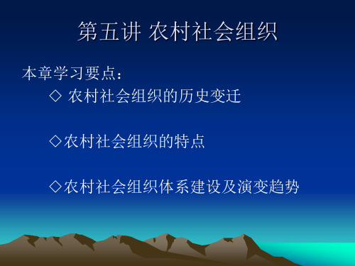第五讲 农村社会组织