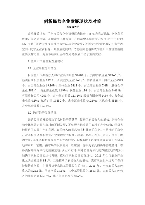 例析民营企业发展现状及对策