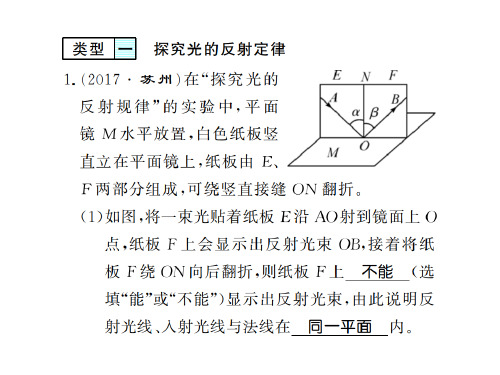 秋八年级物理上册沪科版习题课件：第四章 专题4 (共18张PPT)