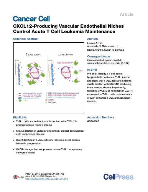 CXCL12-Producing Vascular Endothelial Niches Control Acute T Cell Leukemia Maintenance