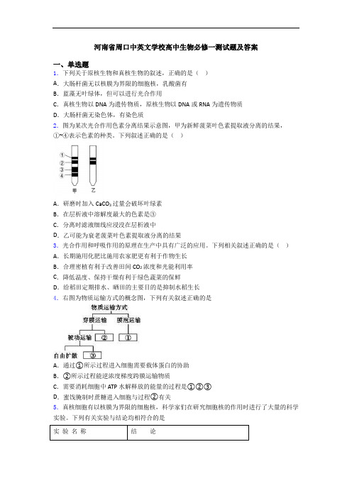 河南省周口中英文学校高中生物必修一测试题及答案