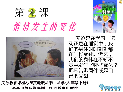 小学科学六下《悄悄发生的变化》PPT 公开课一等奖课件 (14)