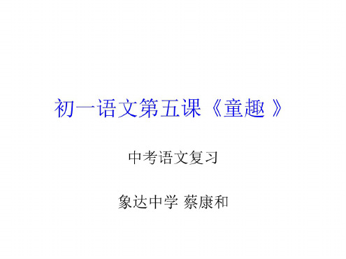 中考语文复习《童趣-》