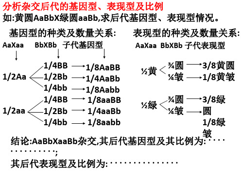 两对及多对相对性状的计算