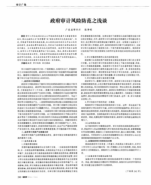 政府审计风险防范之浅谈