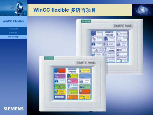 WinCCflexible多语言项目解读