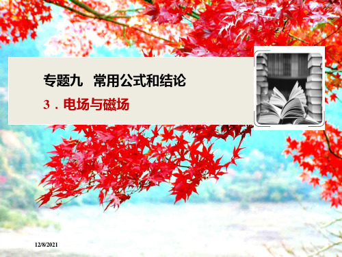 高考物理二轮复习专题九3电场与磁场课件