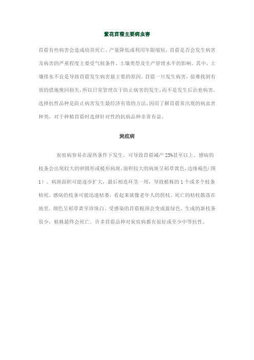 紫花苜蓿主要病虫害