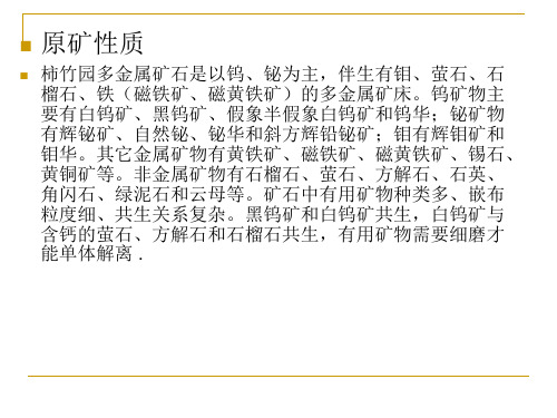 柿竹园选矿厂基本信息