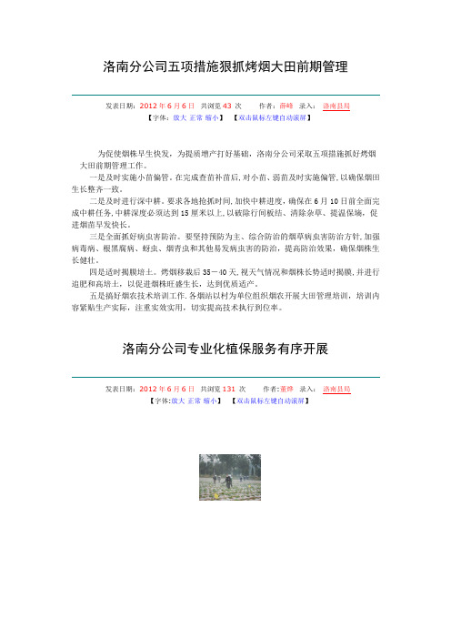 洛南分公司五项措施狠抓烤烟大田前期管理【范本模板】