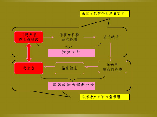 临床输血质量管理课件