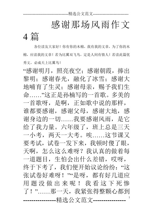 感谢那场风雨作文4篇_0