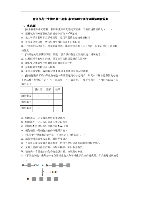 青岛市高一生物必修一期末 非选择题专项考试模拟题含答案