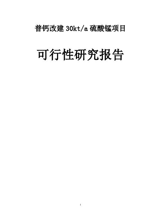 年产3万吨硫酸锰可行性研究报告