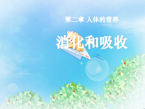 《消化和吸收》人体的营养PPT6  图文