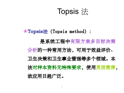 TopSis法ppt