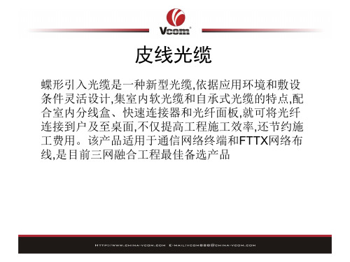 皮线光缆PPT