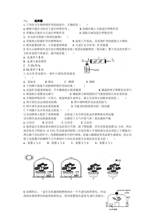 广东省深圳市福田云顶学校中考生物复习课外作业 第二讲 绿色开花植物的新陈代谢(二)(无答案)