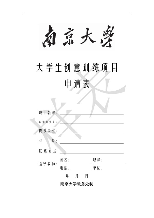 南京大学创意项目申请表样表