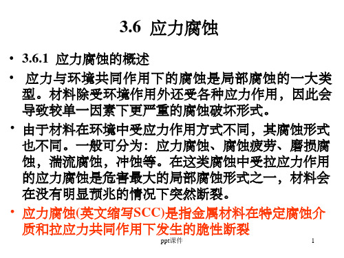 《应力腐蚀》PPT课件