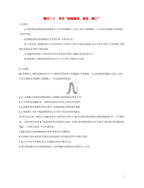 最新2019版高考生物一轮复习 第二篇 失分警示100练 专题二十 有关“细胞癌变、衰老、凋亡”