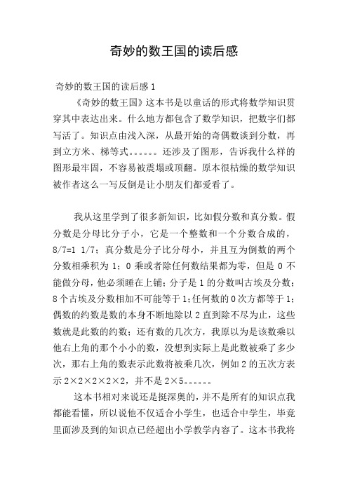 奇妙的数王国的读后感