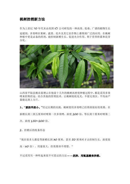 桃树控梢新方法