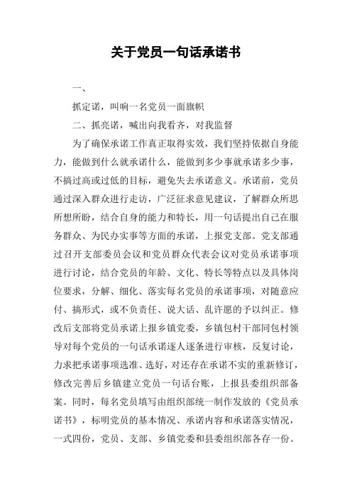 关于党员一句话承诺书