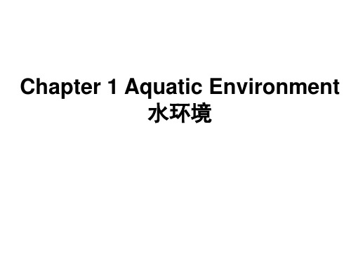 02+水环境--术语 水域生态学课件