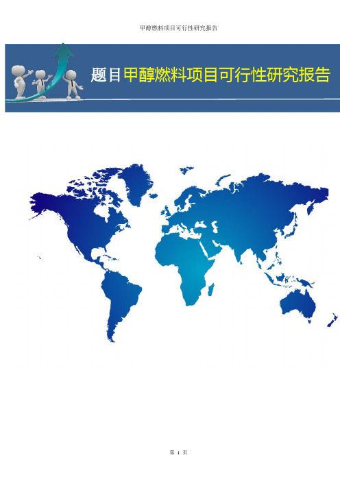 甲醇燃料项目可行性研究报告【完整版】