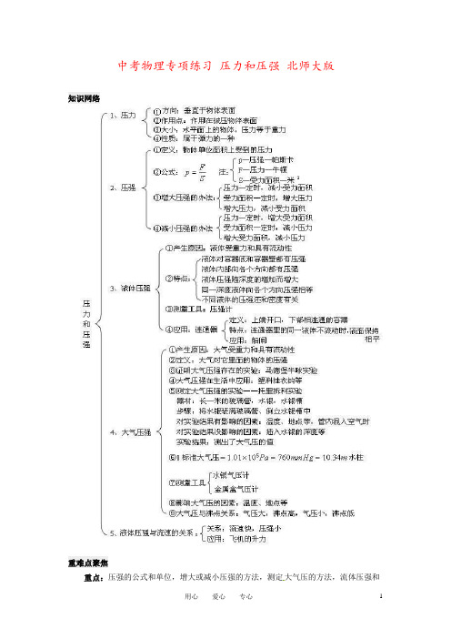 中考物理专项练习 压力和压强 北师大版